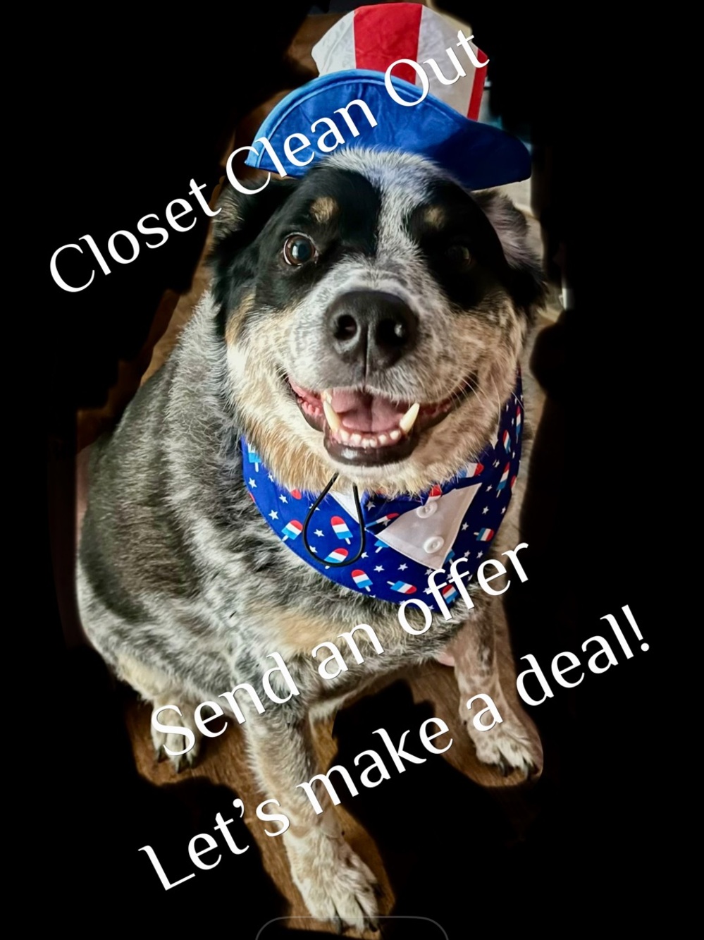 Patriotic Sale (not my pooch) Make an offer Day!